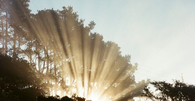 Prepare Your Heart for Worship on November 9 image