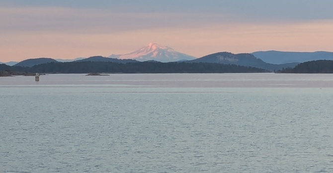 Appointment of New Rector image