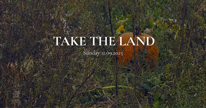 Take the Land image