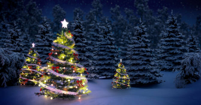 Three Trees and The Christmas Story