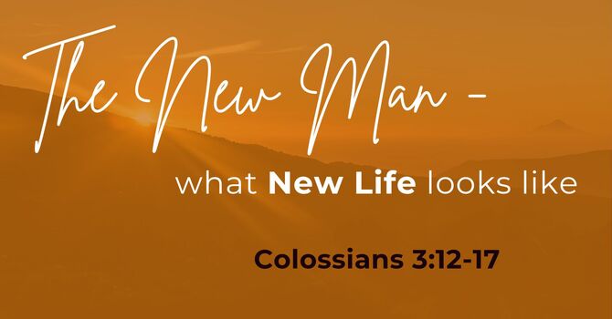 The New Man: What New Life Looks Like