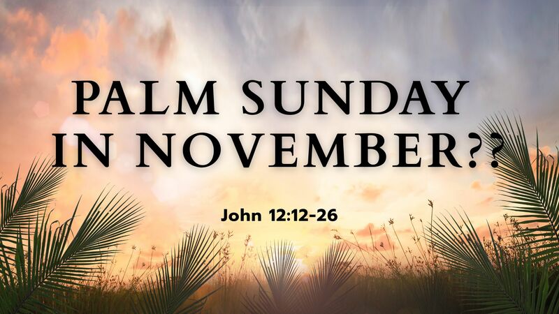 Palm Sunday In November?