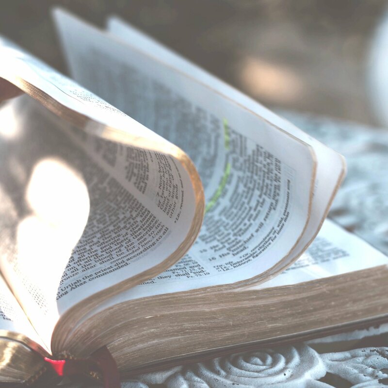 The Lamb's Book of Life