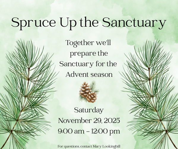 Spruce up the Sanctuary