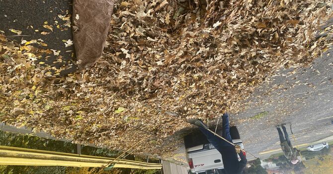 Fall Beautification Day image