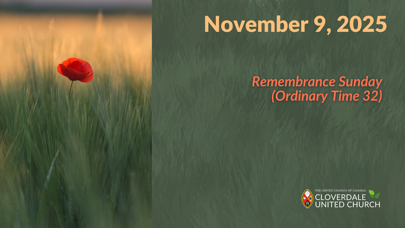 32nd Sunday in Ordinary Time