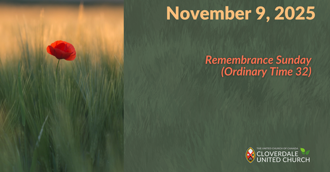 32nd Sunday in Ordinary Time