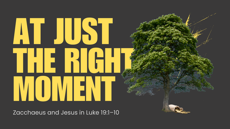 At Just the Right Moment