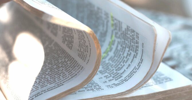 The Lamb's Book of Life