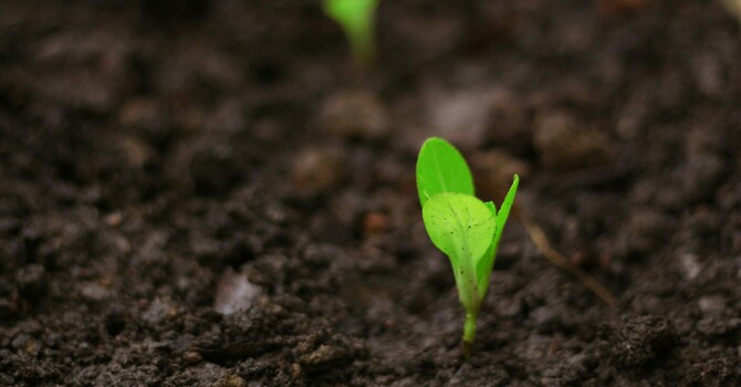 栽培員訓練課程 (粵語)