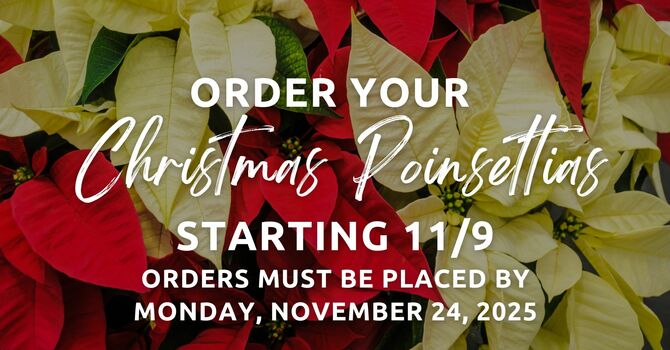 Poinsettias! Order now through Nov. 24th