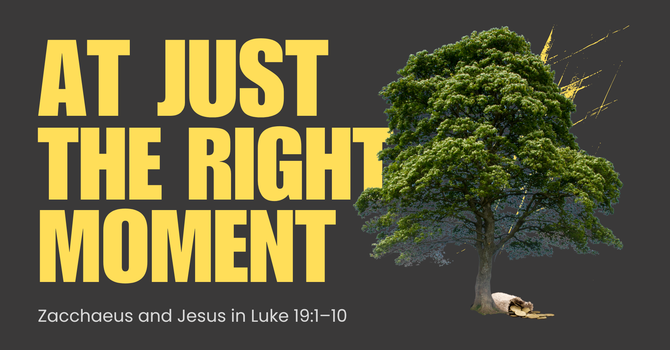 At Just the Right Moment