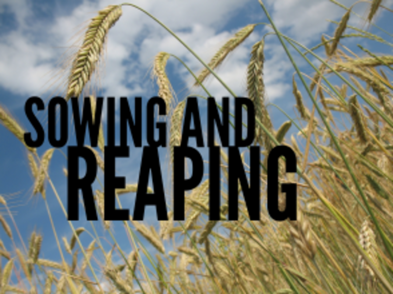 Reaping and Sowing