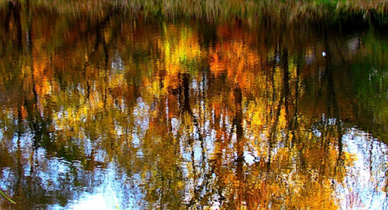 October 26 2025 - Pentecost+20