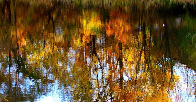 October 26 2025 - Pentecost+20