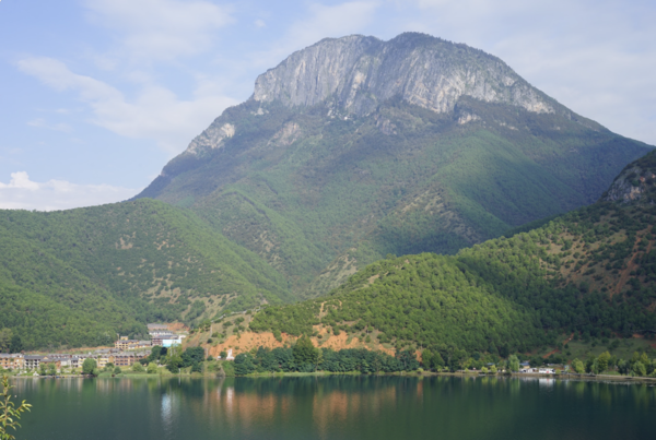 CLIMATE ACTION THROUGH STEWARDING 