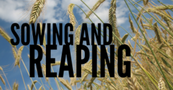 Reaping and Sowing