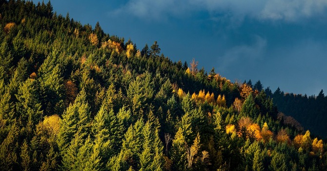 November 6, 2025 Devotion image