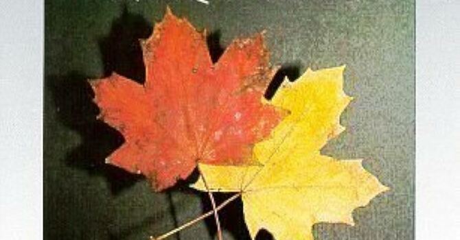 Rutter Requiem  image