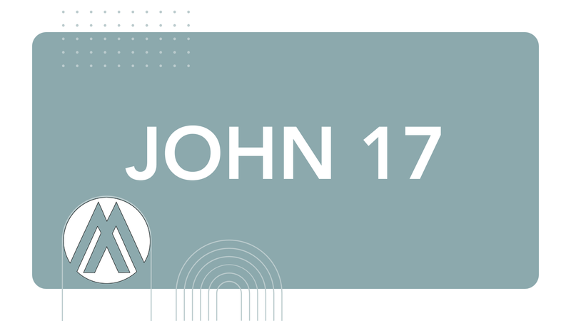 John Chapter 17