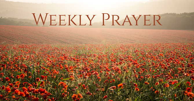 Weekly prayer for November 9, 2025 image