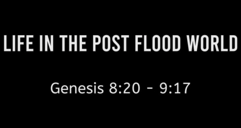 Life in the Post Flood World