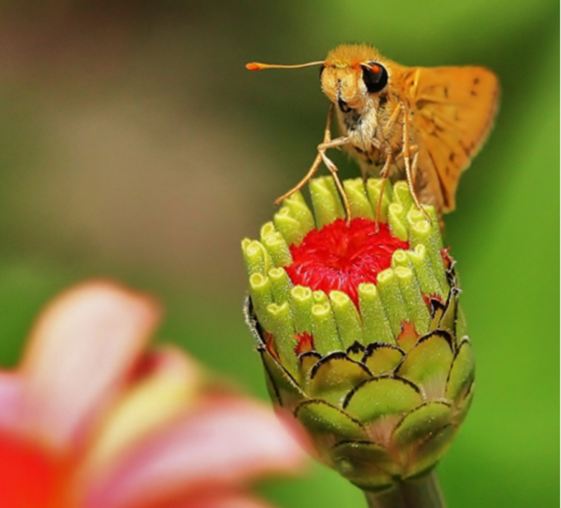 22nd Sunday after Pentecost