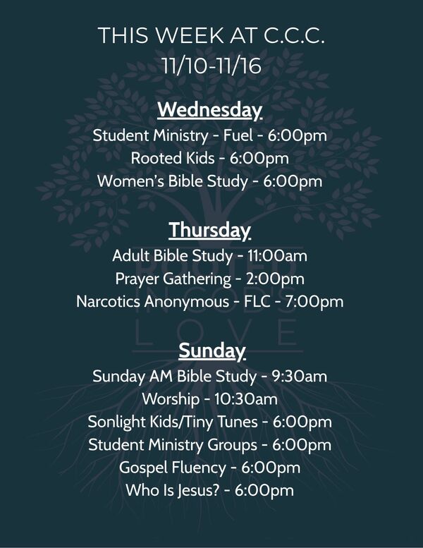 This Week's Schedule