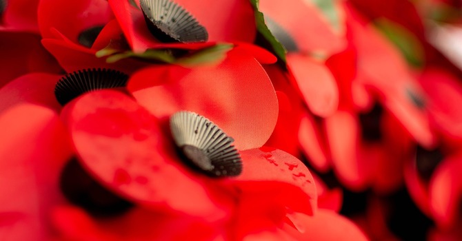 This Sunday's Readings and Order of Service image