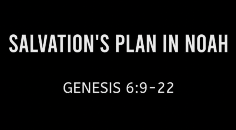 Salvation’s Plans in Noah