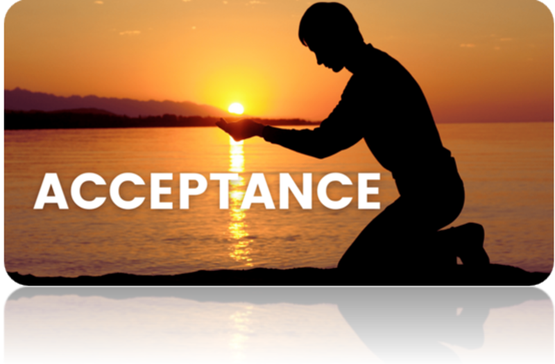 The Jesus Path To Enlightenment (S,LS)