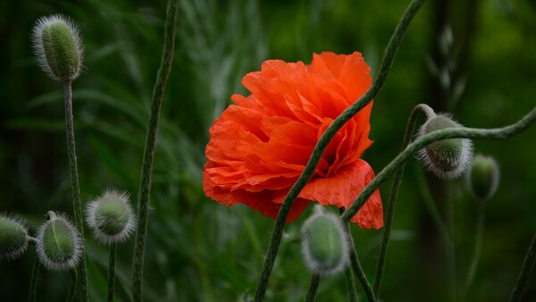 November 9 Worship Service