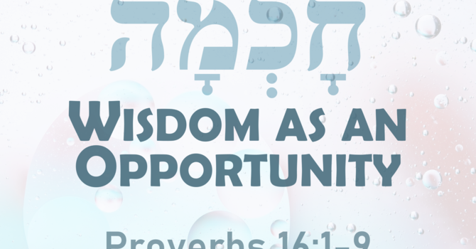 Wisdom as an Opportunity
