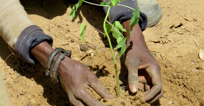 Partnering for Climate Responsibility image