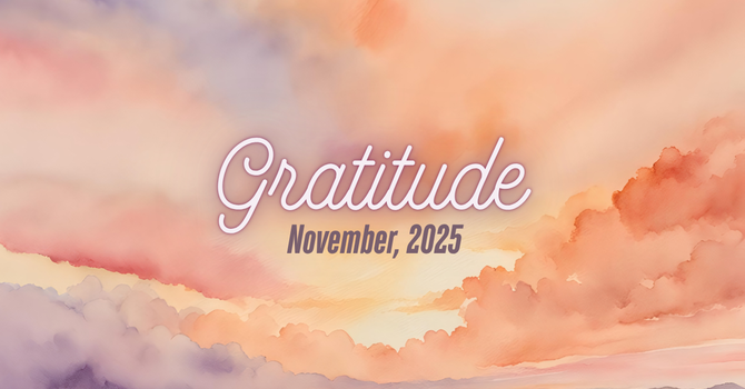 The Gift of the Mushrooms