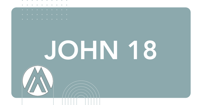 John Chapter 18