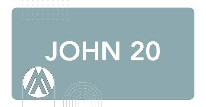 John Chapter 20