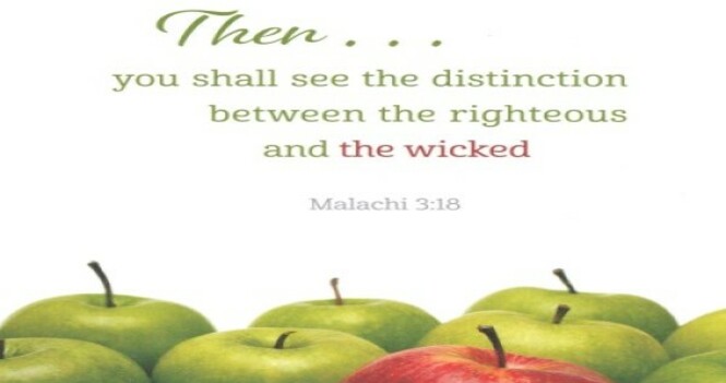 Worship Service - Last Sunday of the Church Year 