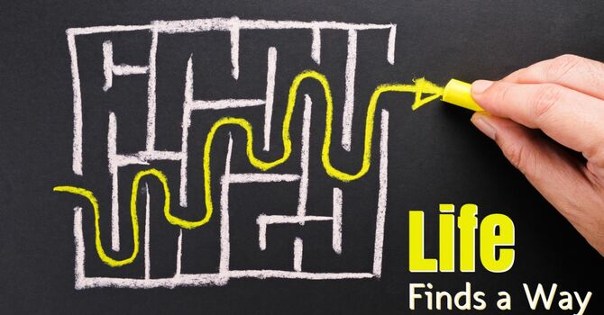 Worship with Westminster