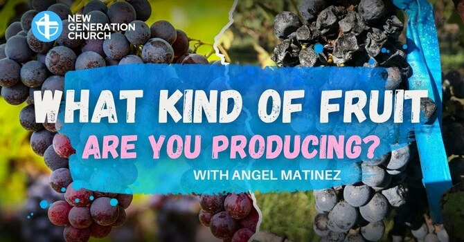 WHAT KIND OF FRUIT ARE YOU PRODUCING? 