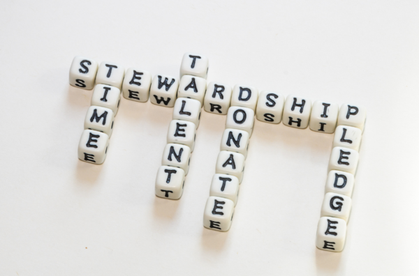 Annual Stewardship Drive