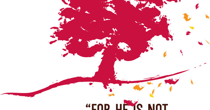 Worship Bulletins image