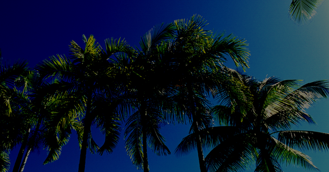 Women's Prayer Group