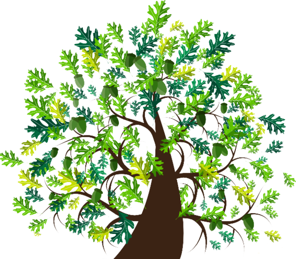 First Baptist Church of Silverton