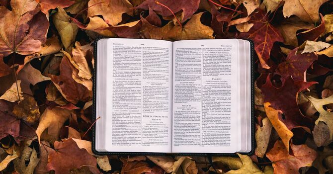 Bible Study in November