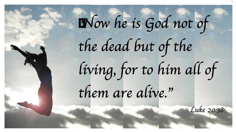 Twenty-Second Sunday After Pentecost