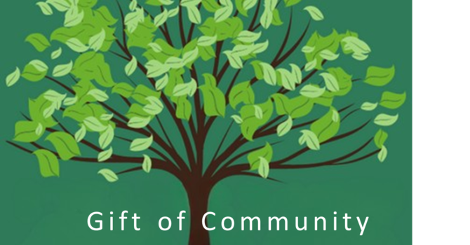 Stewardship Campaign - Reflection image