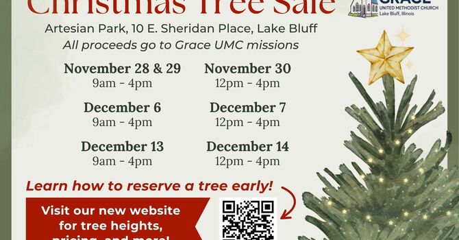 IT'S ALMOST CHRISTMAS TREE TIME!