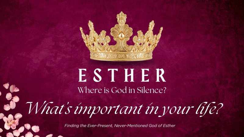 Sunday 9th November, What's important in your Life?