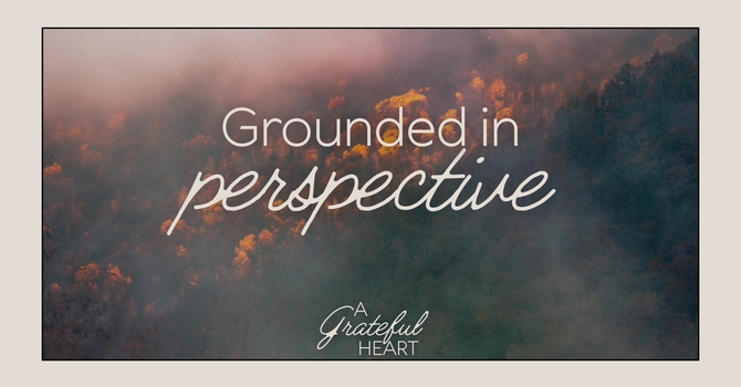 Grounded in Perspective